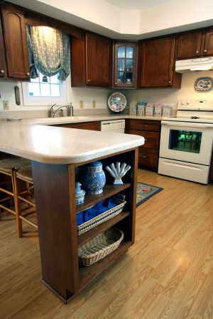 Cost-Saving Alternative to Expensive Kitchen Renovations
