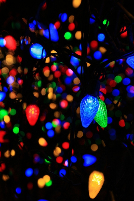 Landscape Lighting For the Holidays | Chevy Chase MD