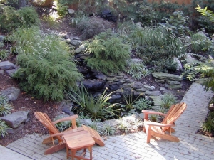 3 Tips | Transform Your Tiny Yard Into a Satisfying Landscape