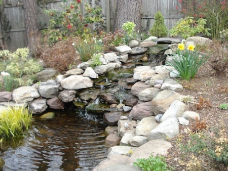 Landscaping Designers say to Watch Out for these DIY Outdoor Improvements | Bethesda MD