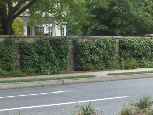 3 Interesting Ways to Dress up Your Block Retaining Wall
