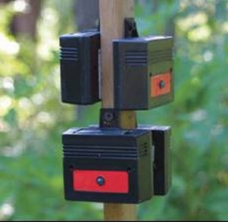 Save your Garden with this Affordable Deer Deterrent
