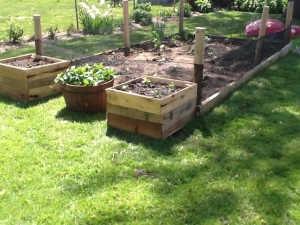 Use Recycled Wooden Pallets to Make Elevated Garden Boxes