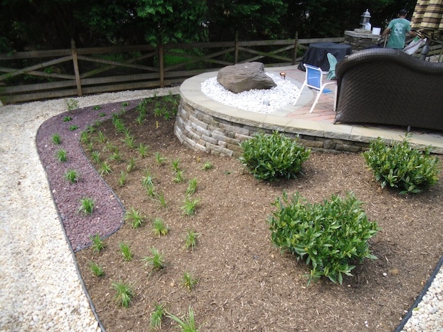 Save Time and Effort with Low-Maintenance Landscaping | Potomac, MD